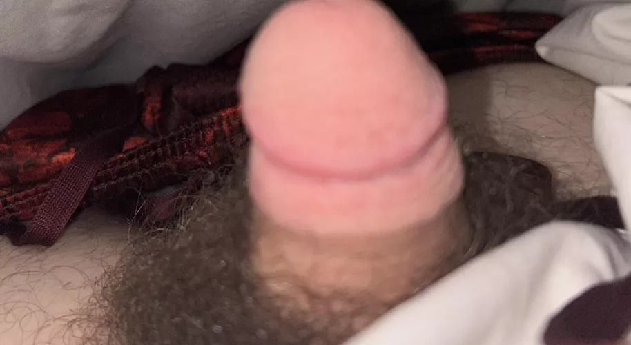 What do you think by MysticisCryptic