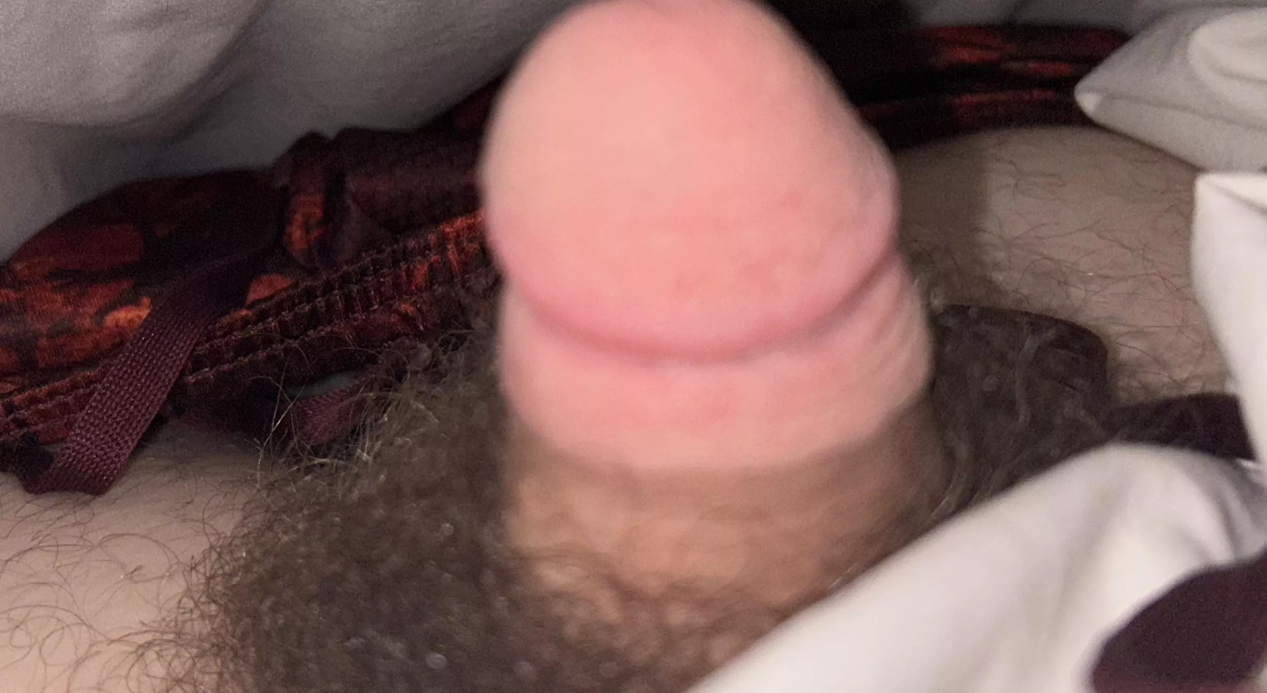 What do you think posted by MysticisCryptic