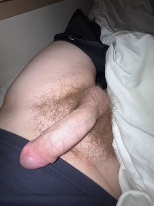 What do you think of the bush! by EngineeringSea7733