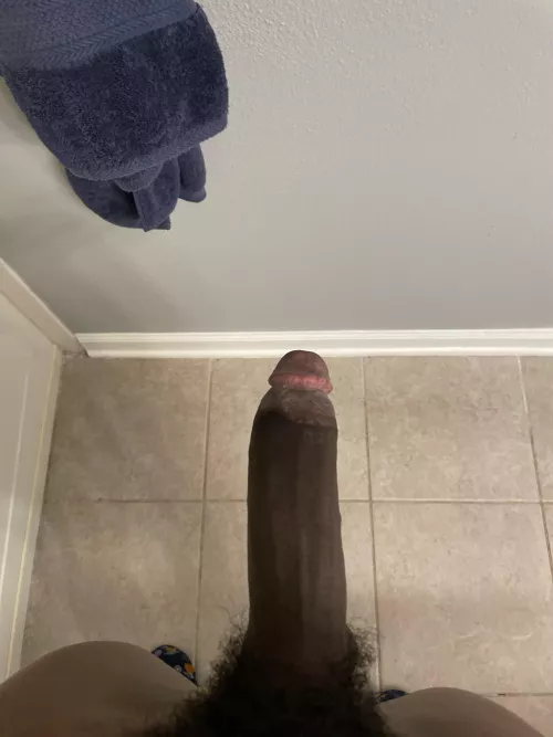 Who wants long, thick, dark meat? by Horse2497