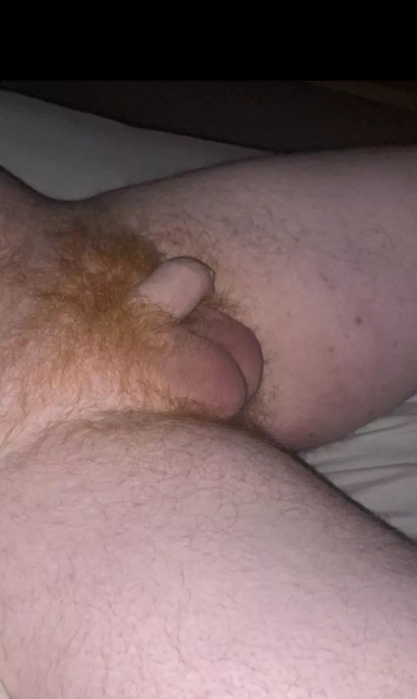 You like my bush? 🔥 posted by Slight-Scientist3448