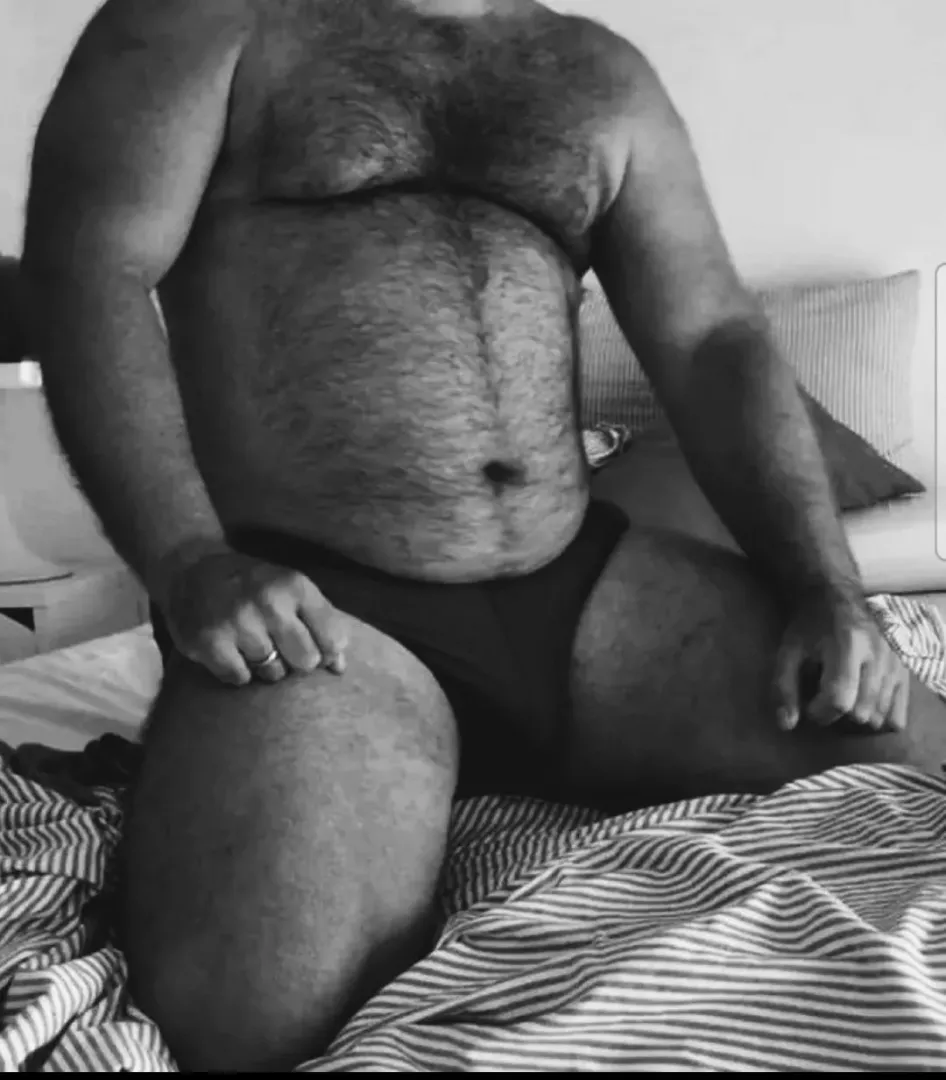 39 Bear Near Terre Haute, Indiana. Open to new adventures!! Anyone clise to me. posted by Sensitive-Wear7067
