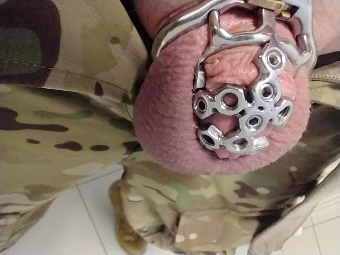 and for today's spike arrangements... The wife decided I should work a 12-hour shift with screws in my cock head 🤷🏼‍♂️ isn't she the best? by SIMO_SHITLORD