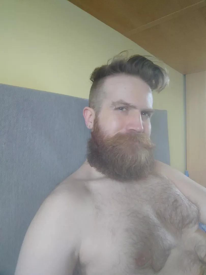 chilling in bed posted by BeardyFur