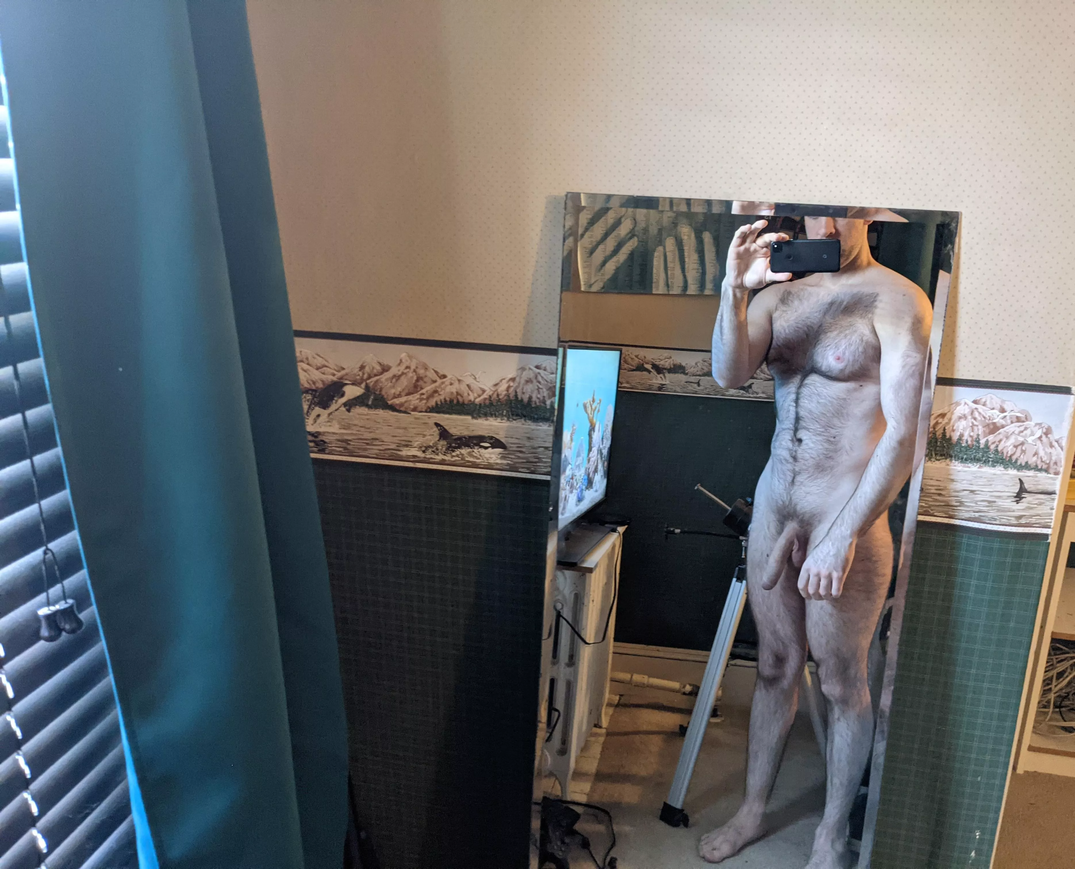 Do you want my hairy chest? posted by DetectiveOne5522