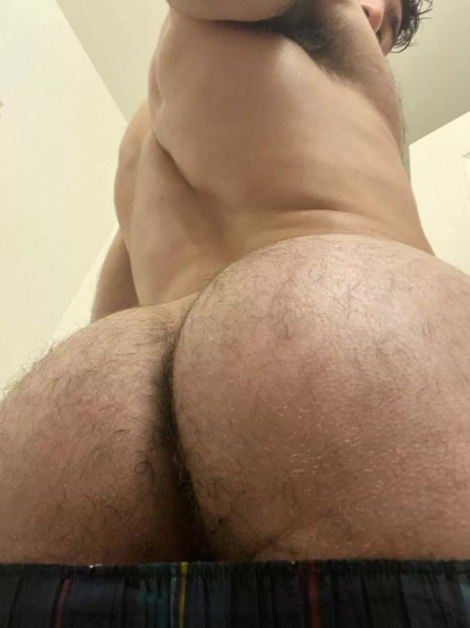 Face crusher posted by PersianMasterReddit