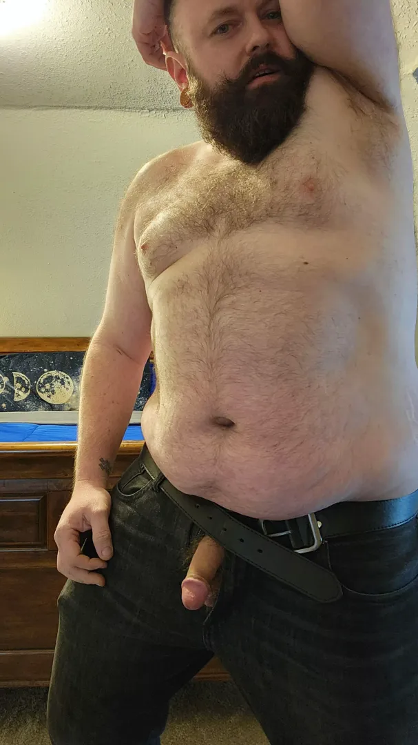 good morning, bears posted by PowderyTaint