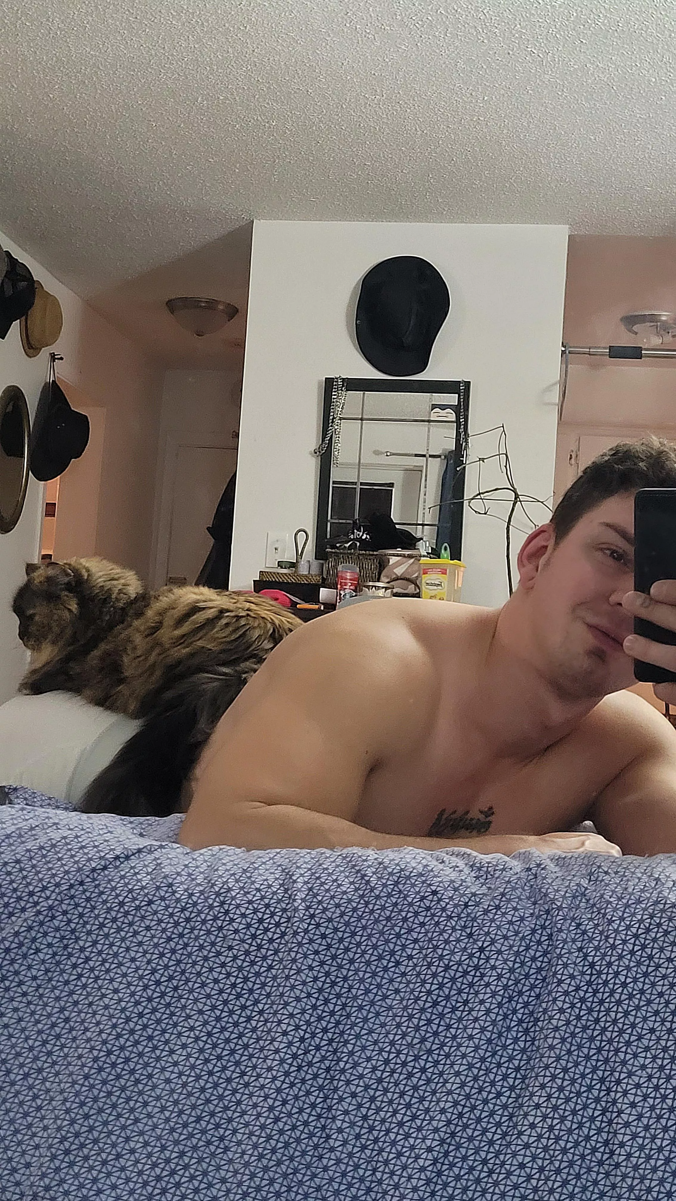 Happy Caturday 😽 posted by DeepFriedHooker