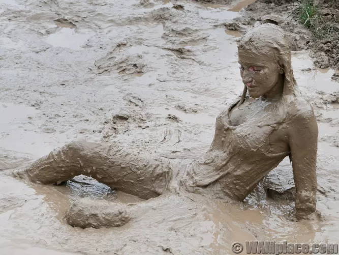 I wonder what she was thinking sitting there like that by _Anonymous_Account_