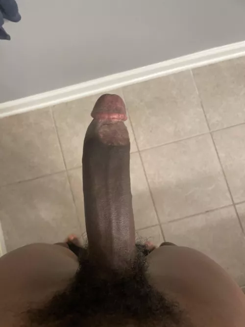 I’m a fox looking for snowbunnies 🐰 by Horse2497