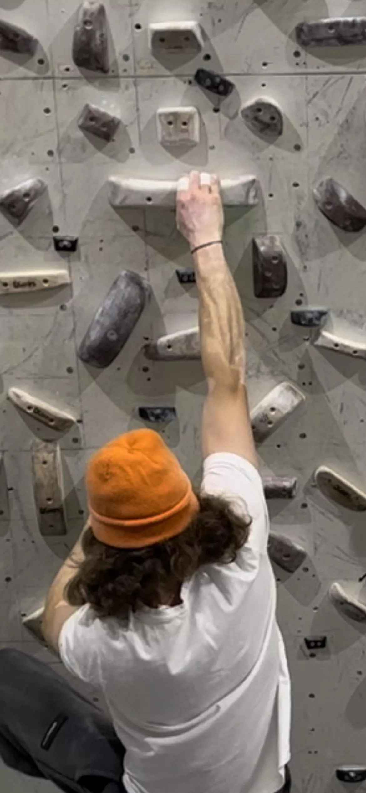 Just a forearm for you all . posted by itsTrel