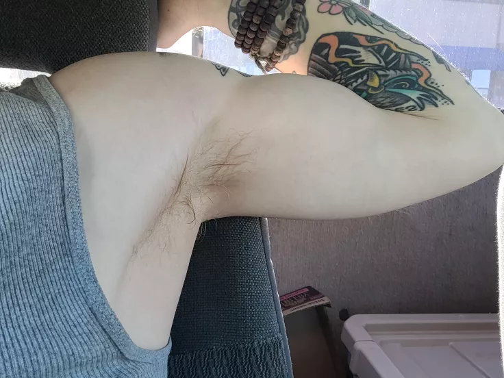 Lick under my guns? posted by Necrobenimbloalaphas