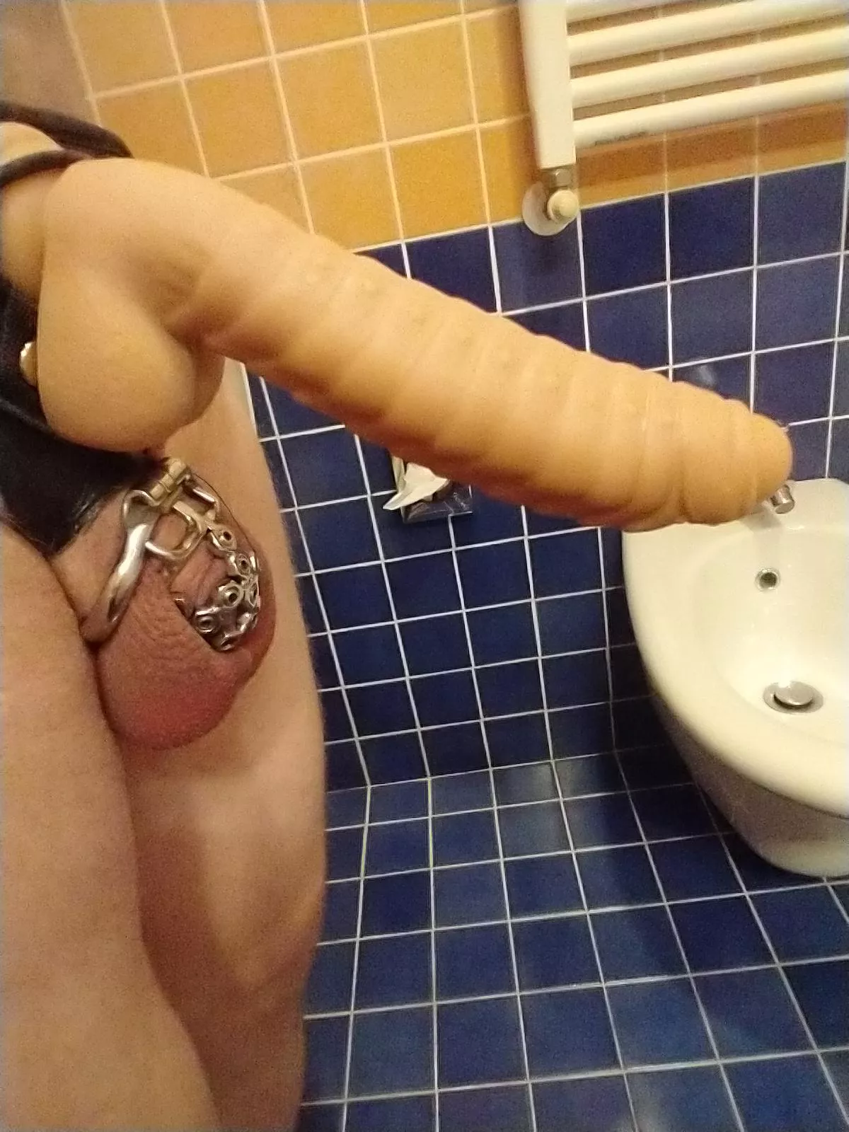 my KH wife put has me in a spiked cage for all of March, 24/7. she changes the spikes every day so it's something new to feel. in 9 months I bought her more shoes than orgasms I've had. more dildos, more dresses, more leggings, each. my only 