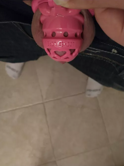 My new cage I love it so much❤️❤️❤️ by Sissylilclitty