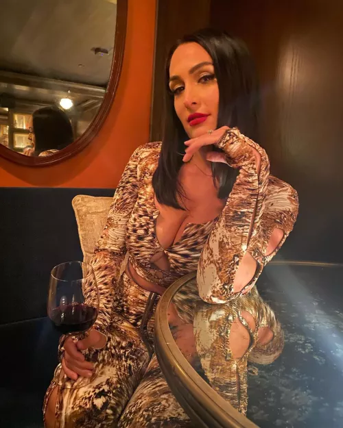 Nikki Bella by Djf47021