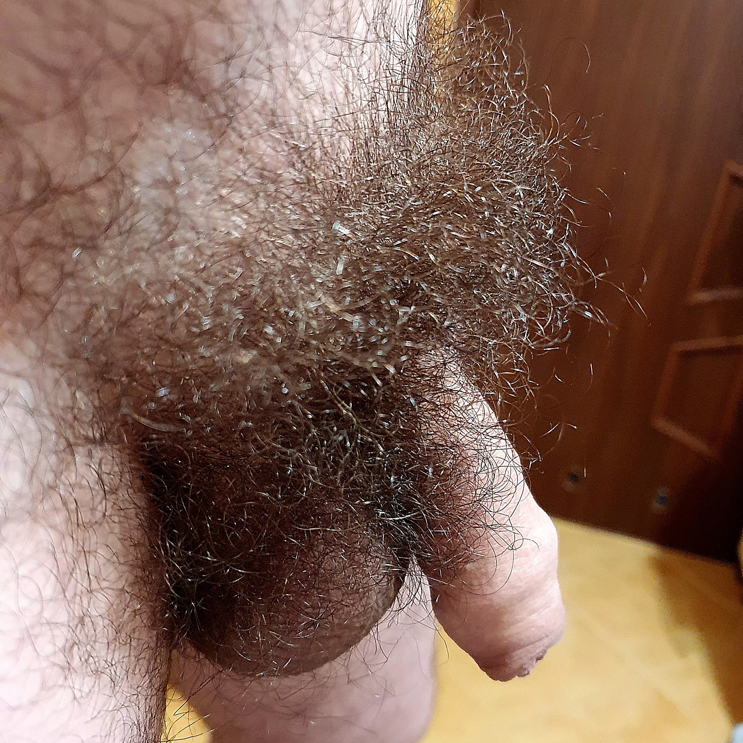 #SaveThePubes posted by TommyTop1981
