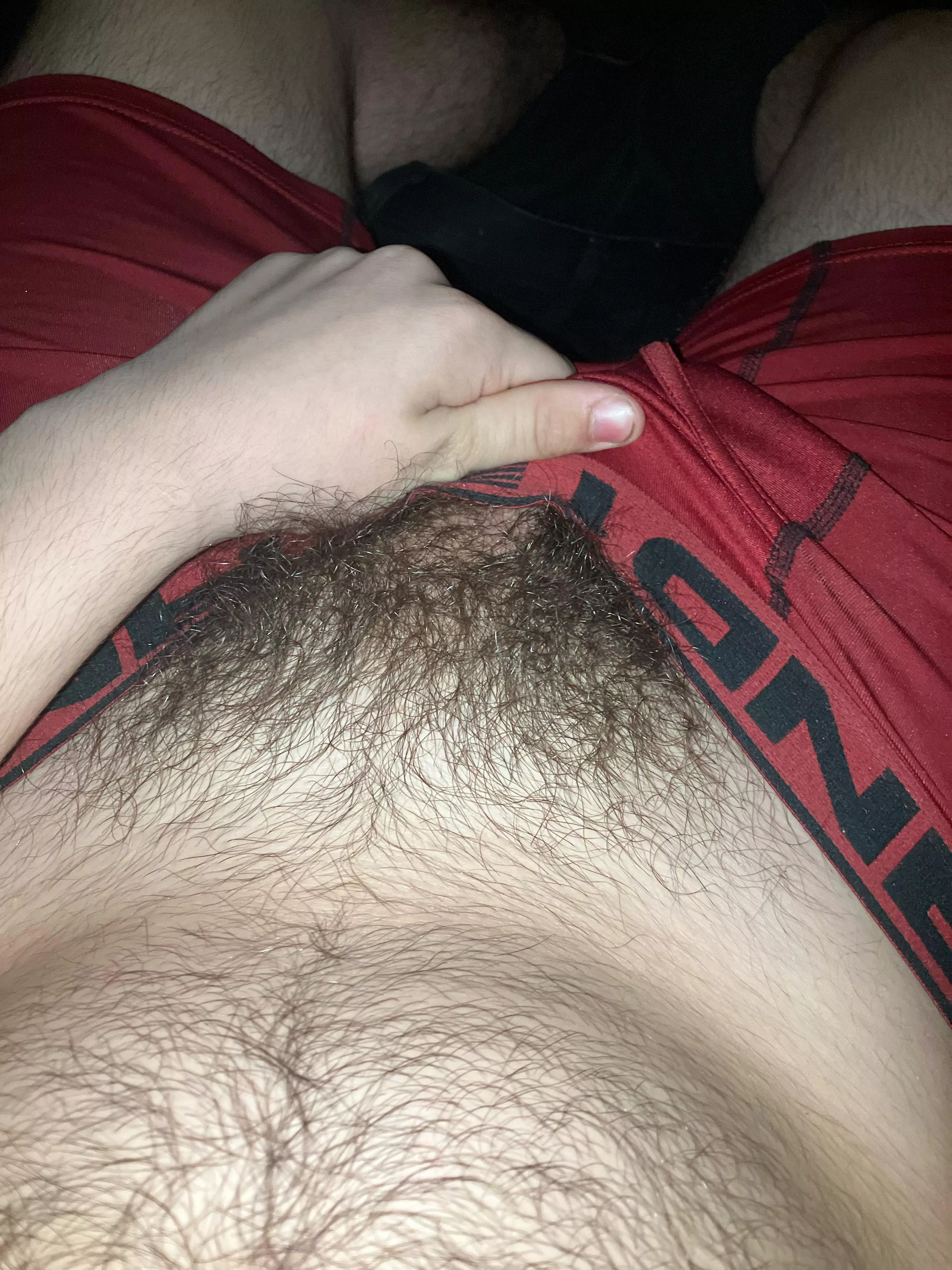 Should I trim it? posted by Brilliant-Concern171