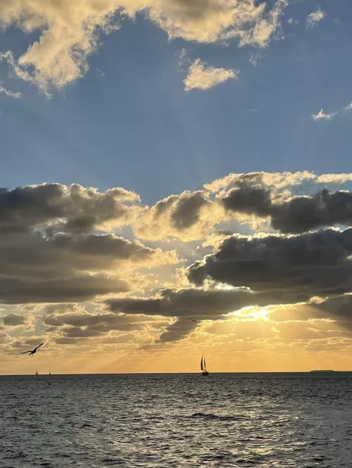 The good stuff in life is free and simple. by FlordiamanAlan