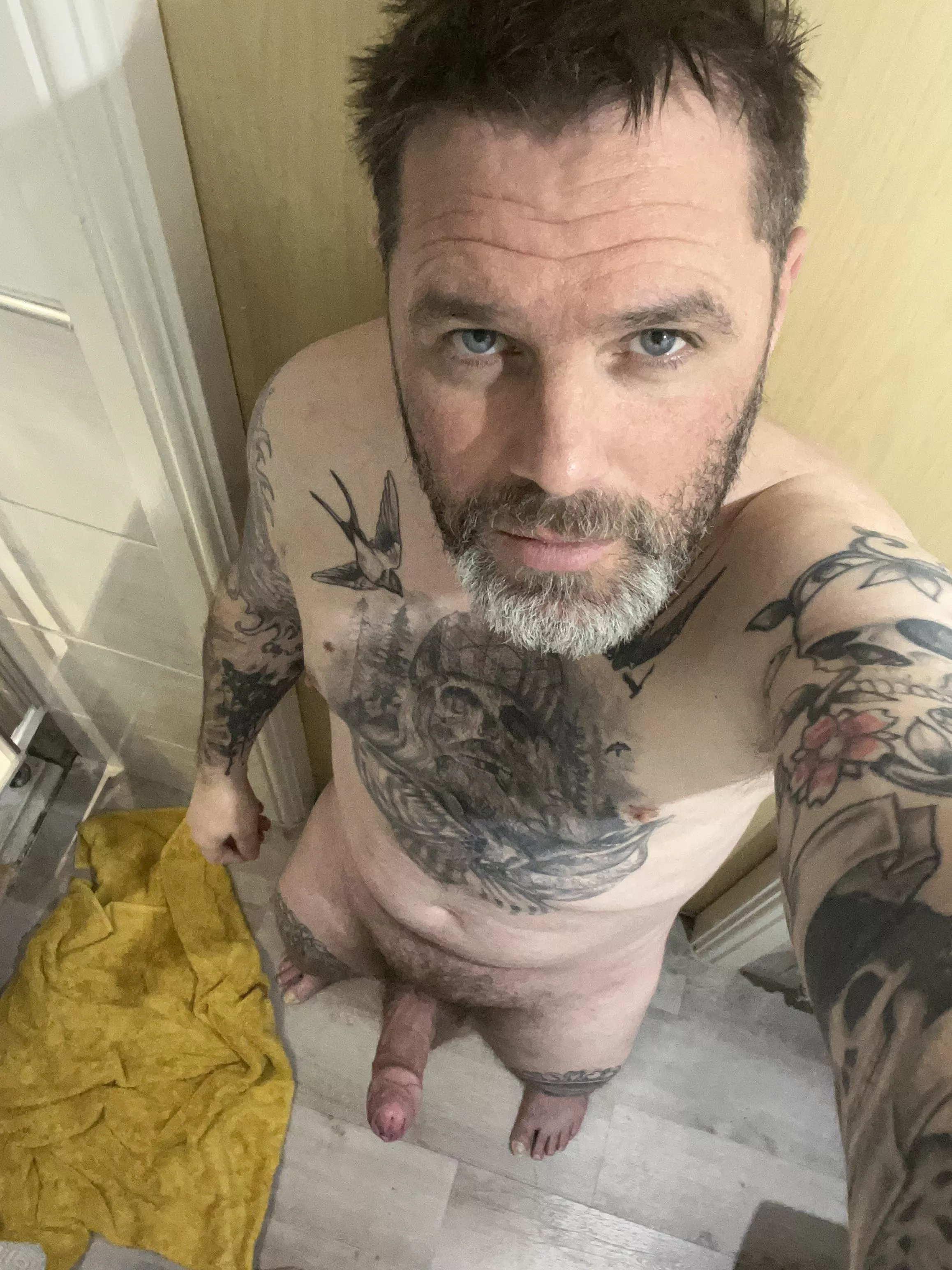 The silver shows at this length posted by Mammoth-Geologist874