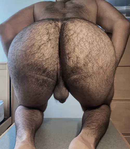 This fat hairy pussy needs a good pounding. Any volunteers? by aubrybraccos