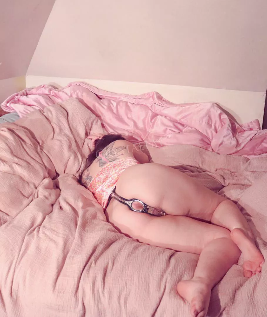 All cozy and locked up tight posted by crystalfay