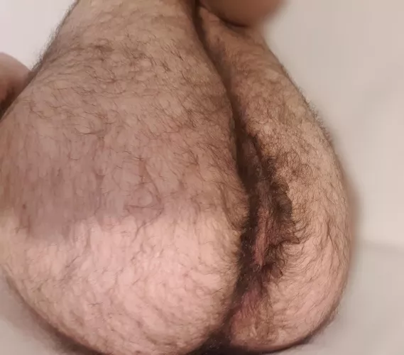 Anyone like a hairy butt? by francesco451