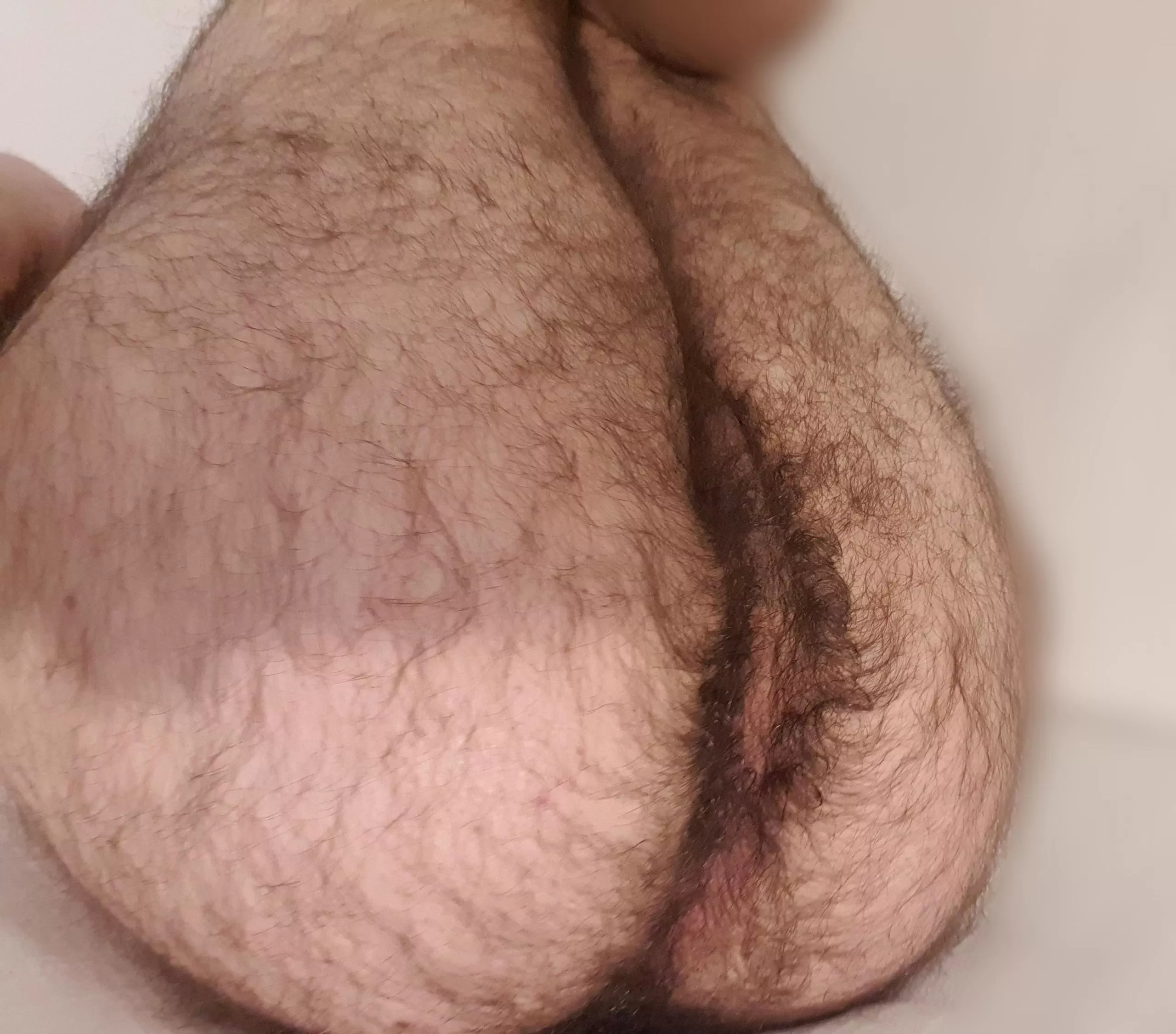 Anyone like a hairy butt? posted by francesco451