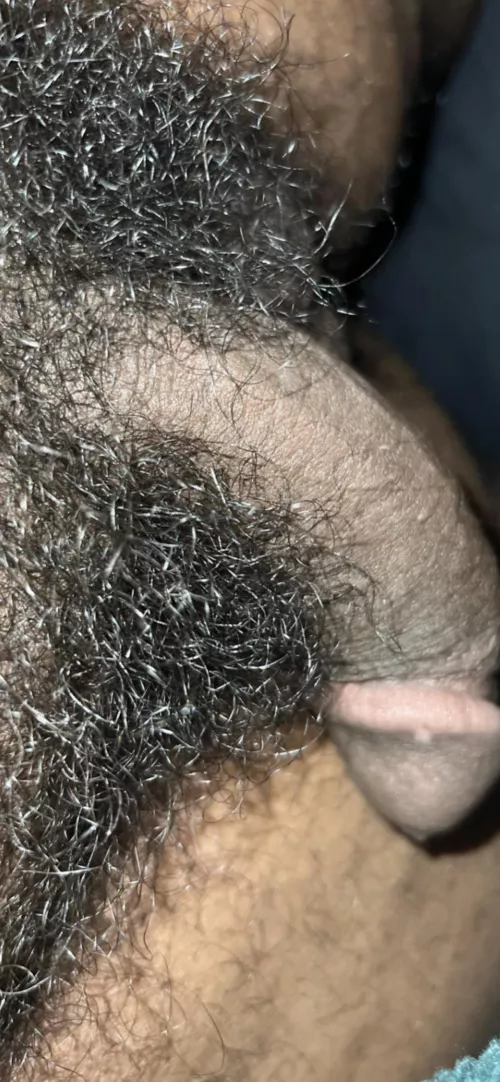 Bush boyz by MessTop1712