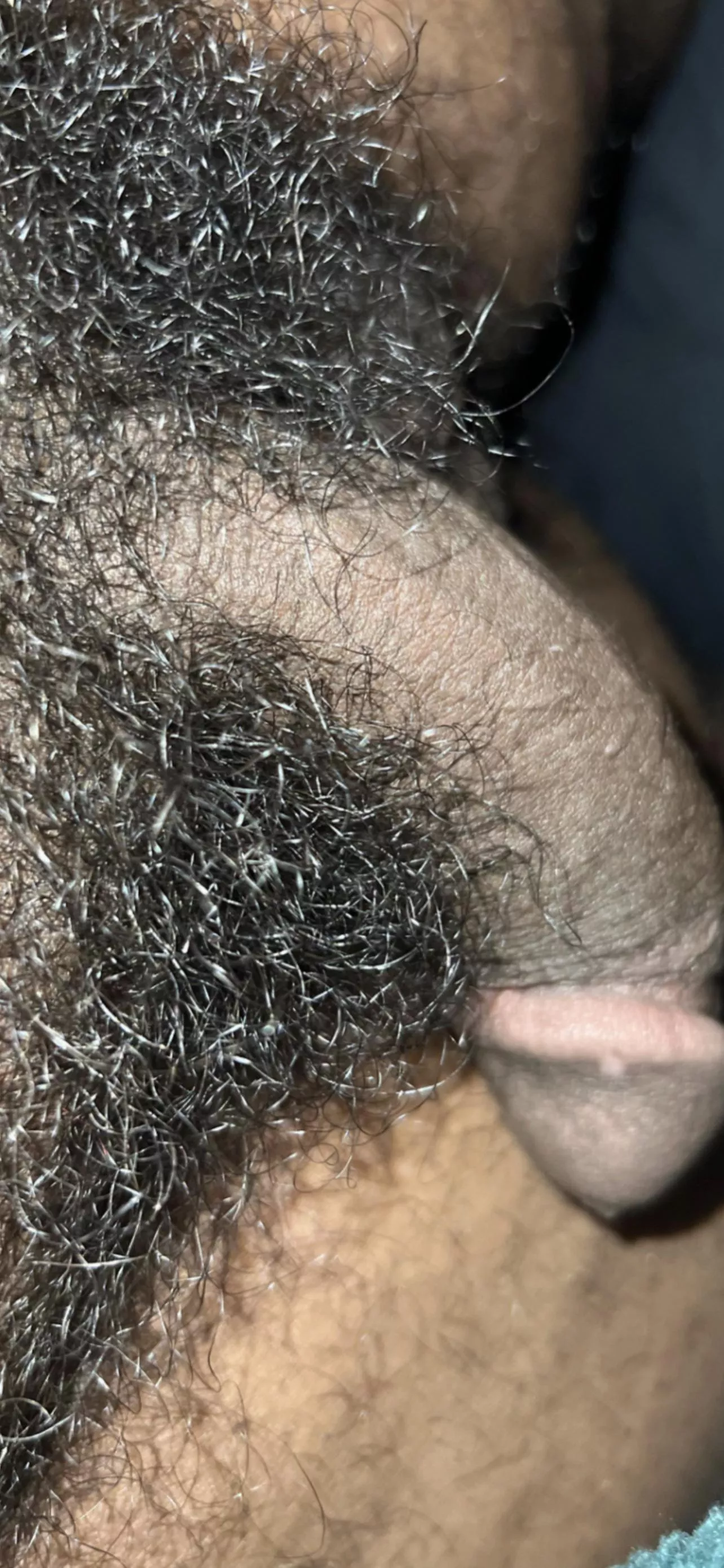 Bush boyz posted by MessTop1712