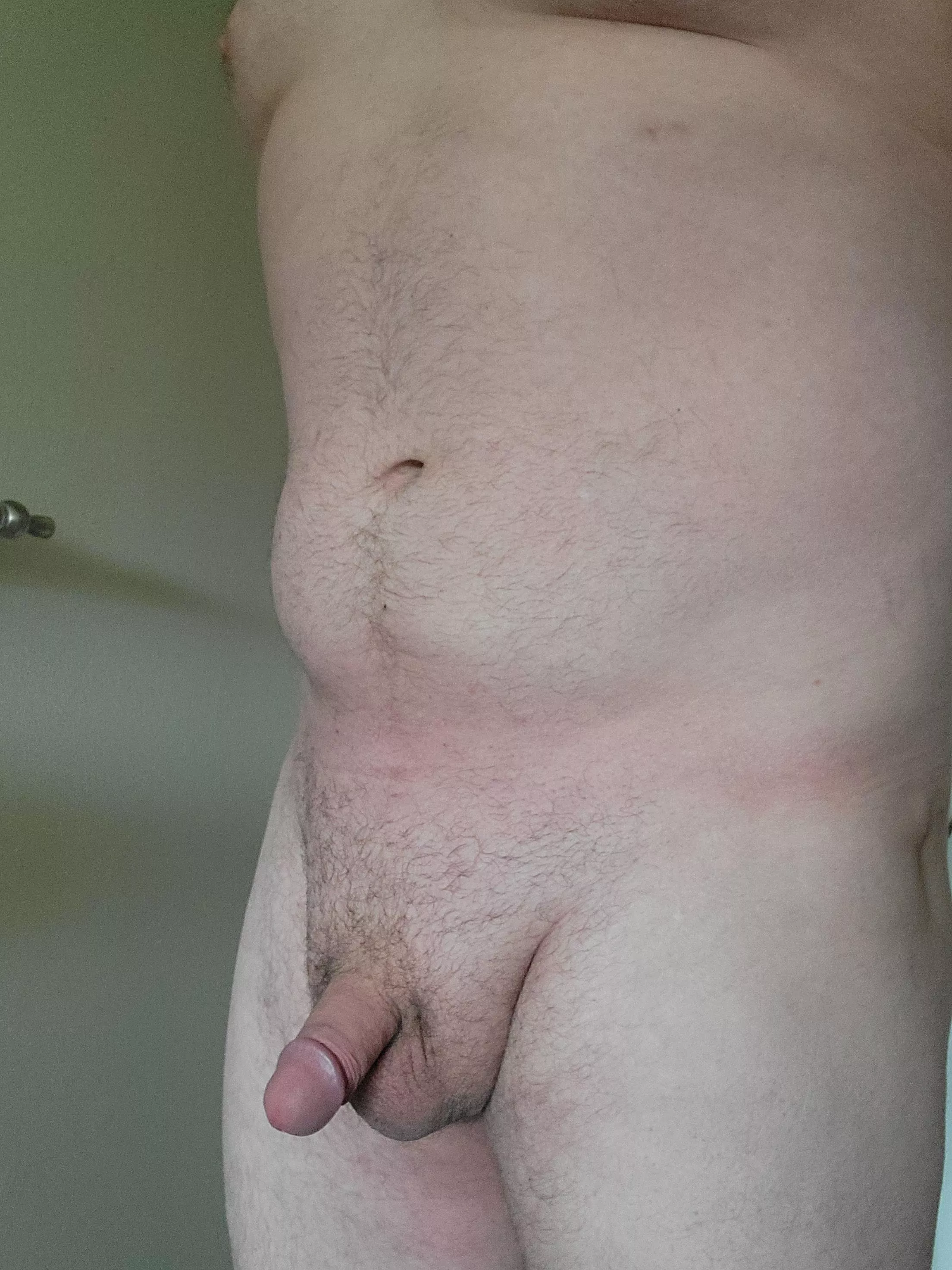 Good Sunday Morning! posted by HorseChoice2164