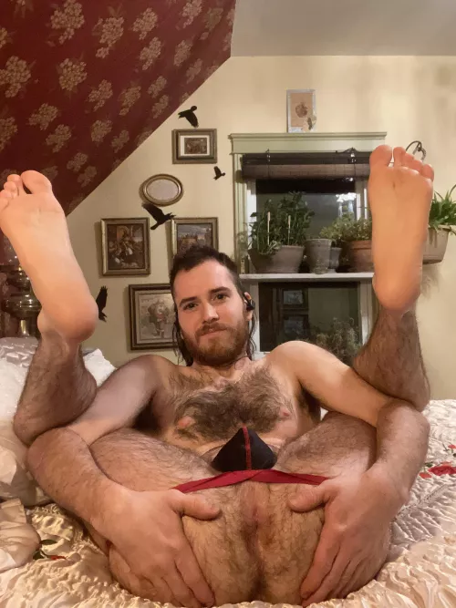 Hairy chest, hairy legs, hairy hole by Daddy_Loving_Dirk