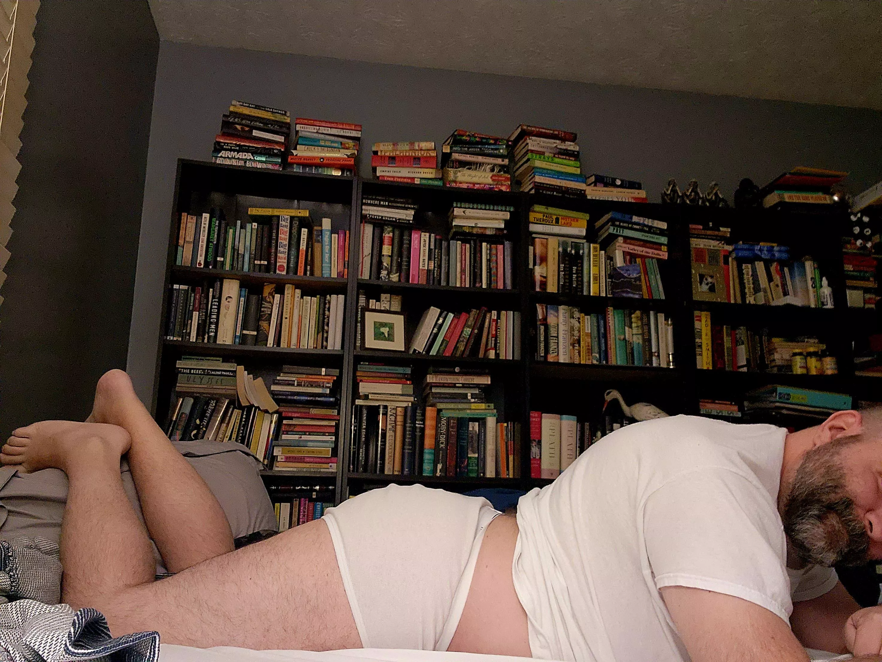 Hardcover lover [42] posted by dada_base