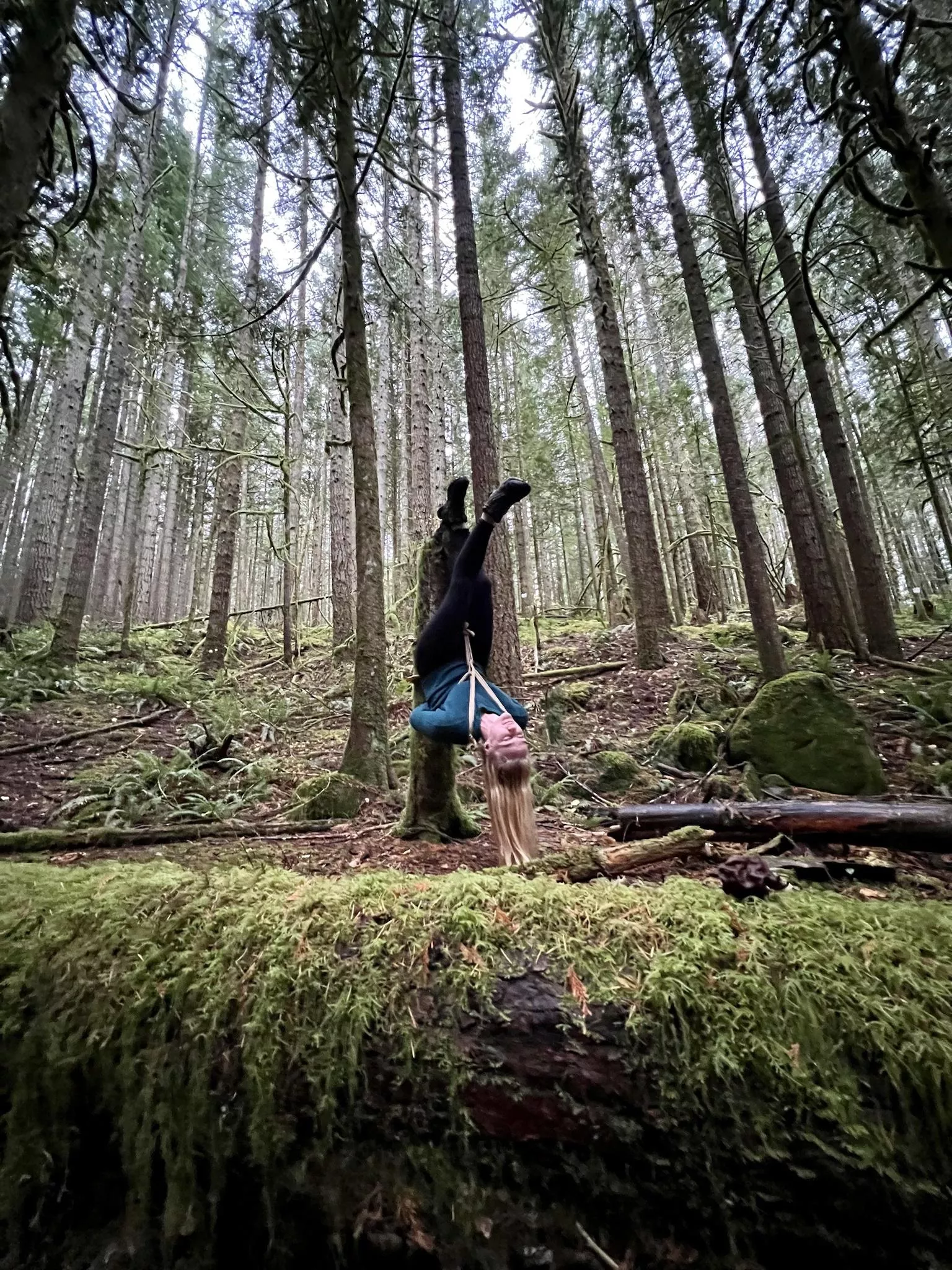 Hashira in a misty forest (OC) posted by ChurchOfRope