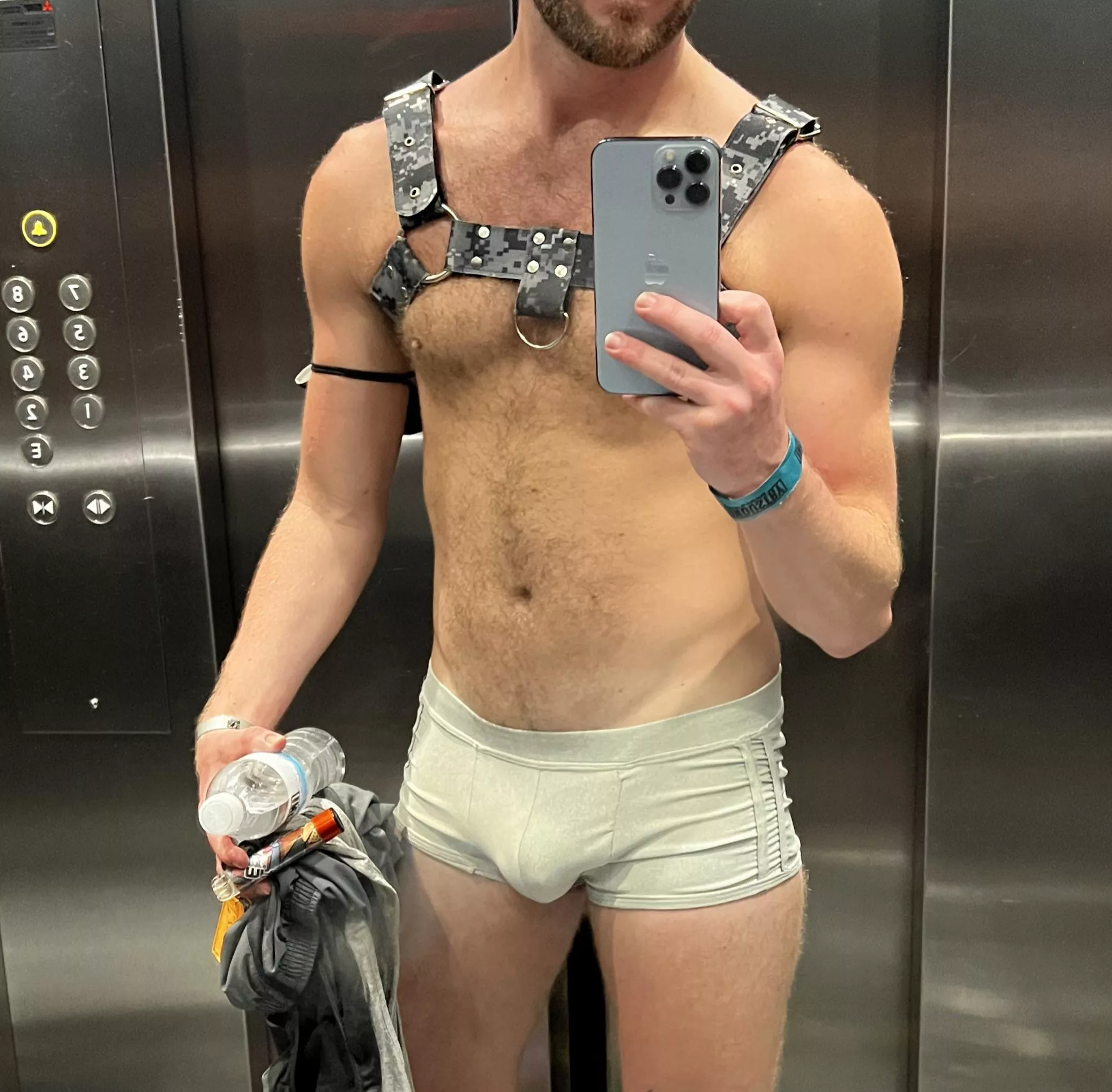 I love when my harness gets put to use posted by Bemoreslamed