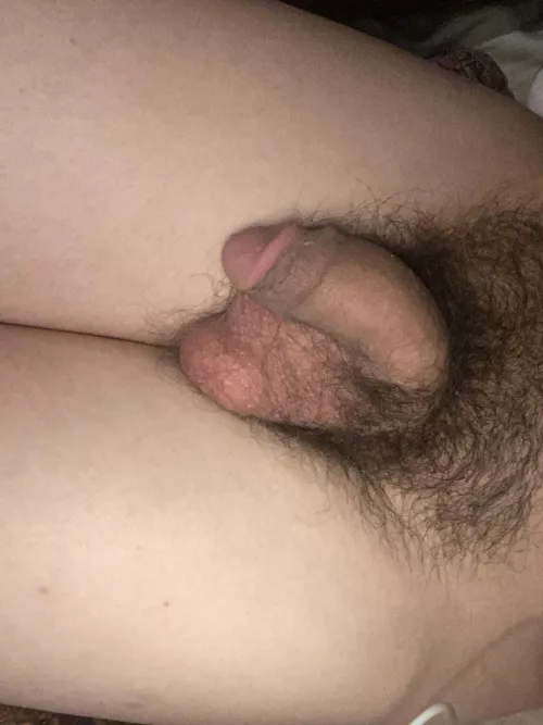 It’s just a little guy ☺️ by Maxim_Maximus_