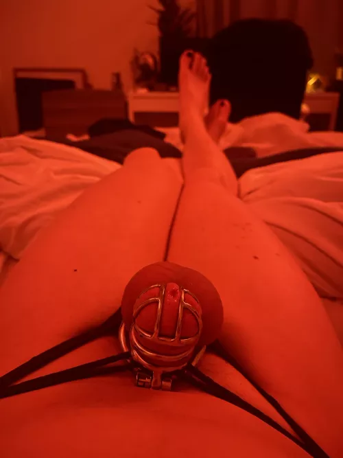 I’ve officially committed to stay in chastity 24/7 and never go a day without it… keeping me a sissy servant every single day. I’m honestly so much happier and I feel euphoric constantly. I’m only allowed to cum from slamming my sissy puss ❤️ by 7in4u69
