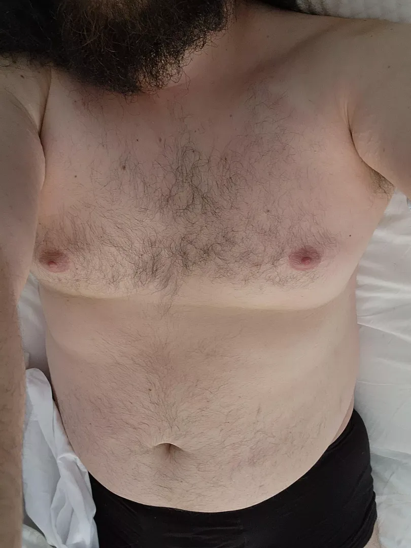 just need coffee and pets in the morning posted by ChubbyBearDaddy