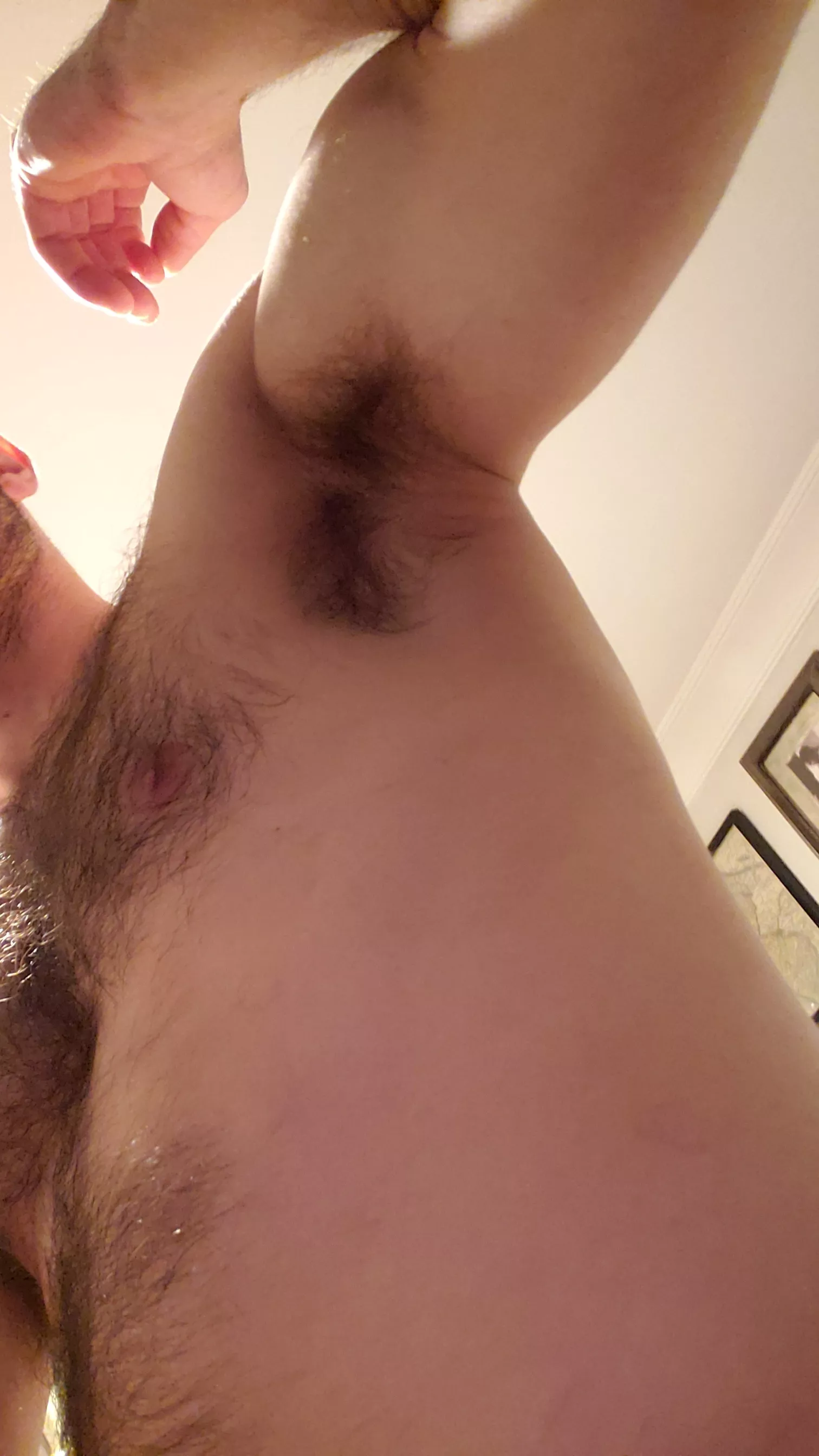 my musk has got me horned again 🤤 posted by jrpopov