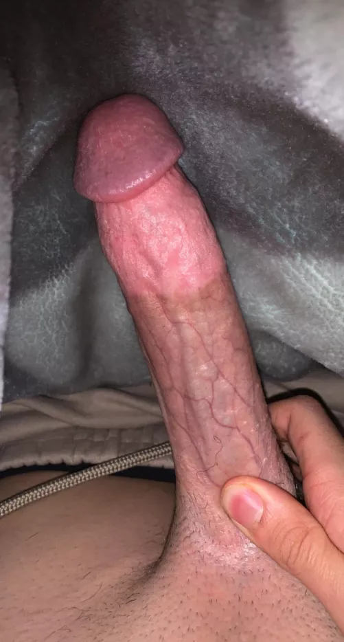 Pm me for more🤭20yo by justinmeier764