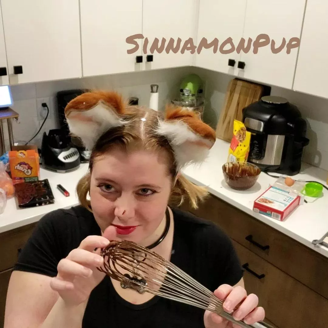 Puppy loves to play. posted by Struggleslut42