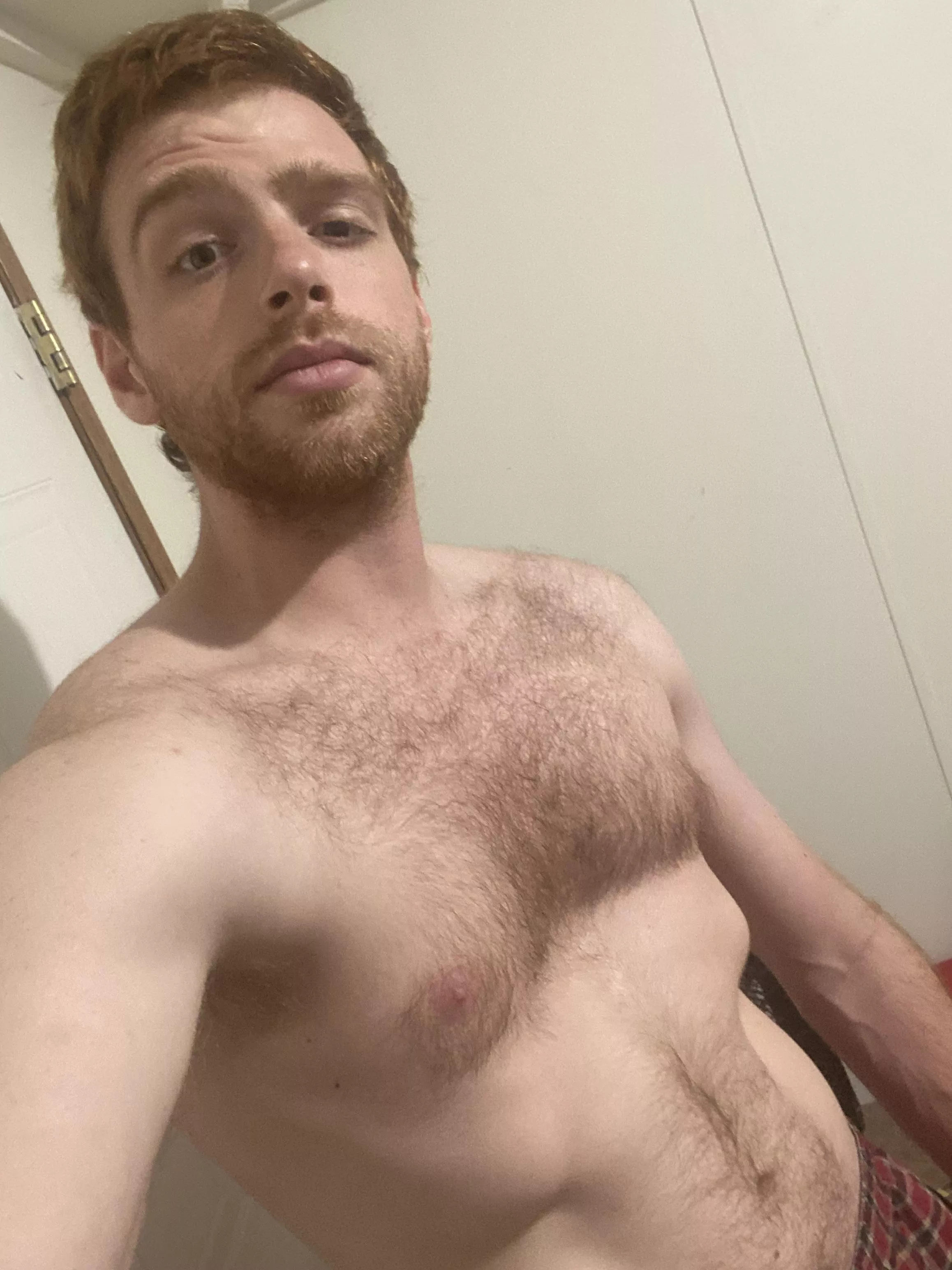 Should I shave? posted by Lata_Pride