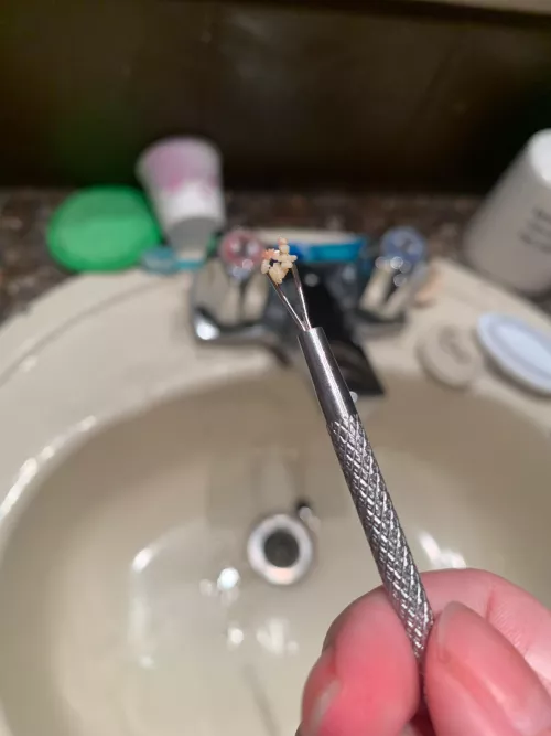 Sooo I may have discovered a new crypt and why I was tasting tonsil stone. Most I’ve extracted from one spot in a while. by maniacpenis