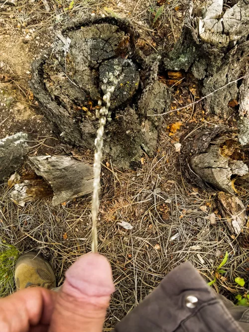 Trail Piss by JKPig66