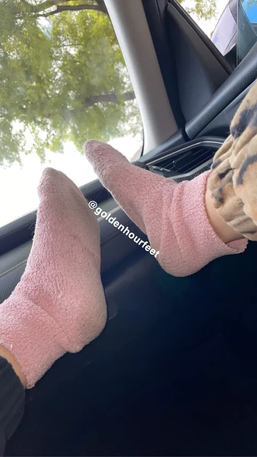 Upvote if you like my fuzzy socks😈 by goldenhourfeet