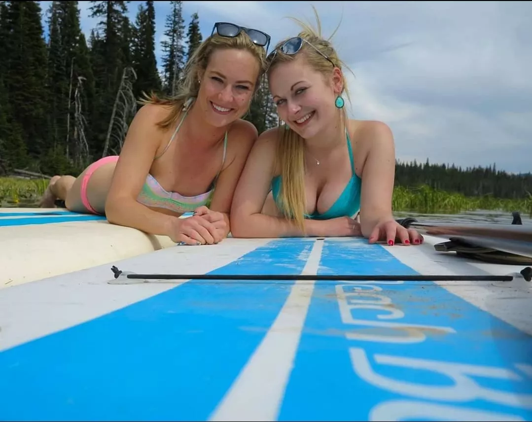 Which one? posted by hphgrwgw