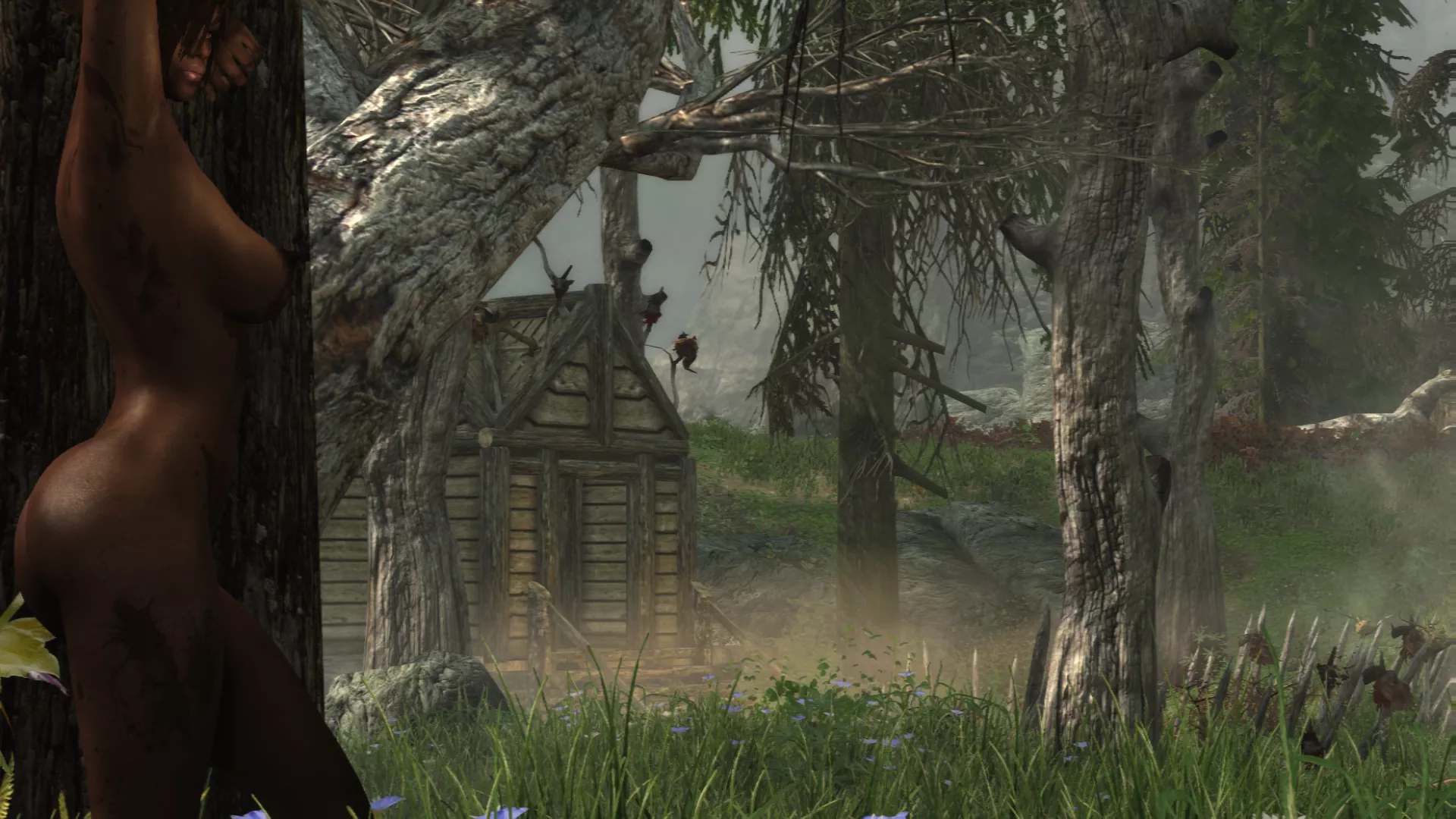 Witchmist Grove posted by SpiritualOverdose