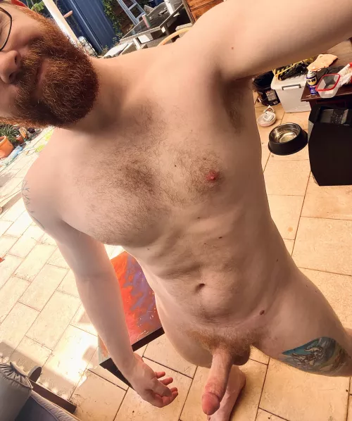 You ready to make the neighbours jealous? by papiginge