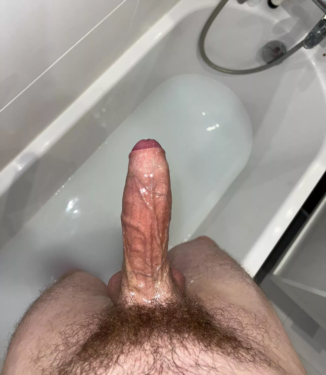 alpha dick posted by hardfukbros_