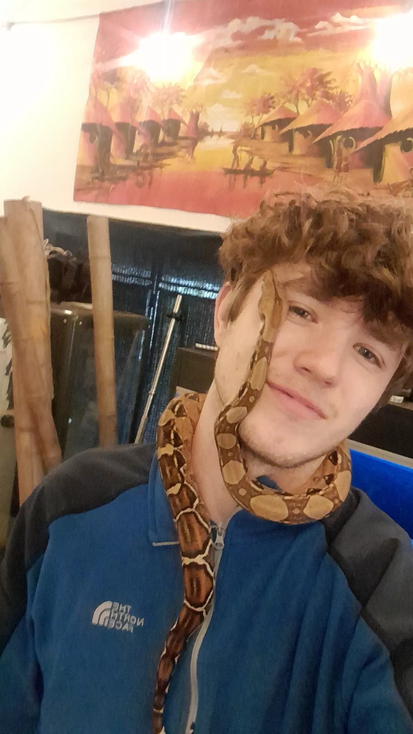 Any other snake lovers here? Collections going from 3 to 5 tomorrow 🙈 posted by BrbMakingACuppaT