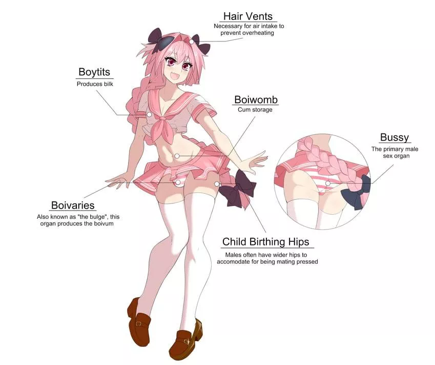 Astolfo Anatomy posted by dingle_berry420n